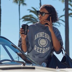 Anine Bing Reebok cropped sweatshirt